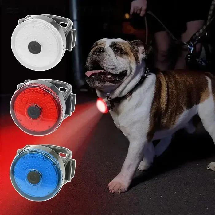 Collier de chien à lumière LED