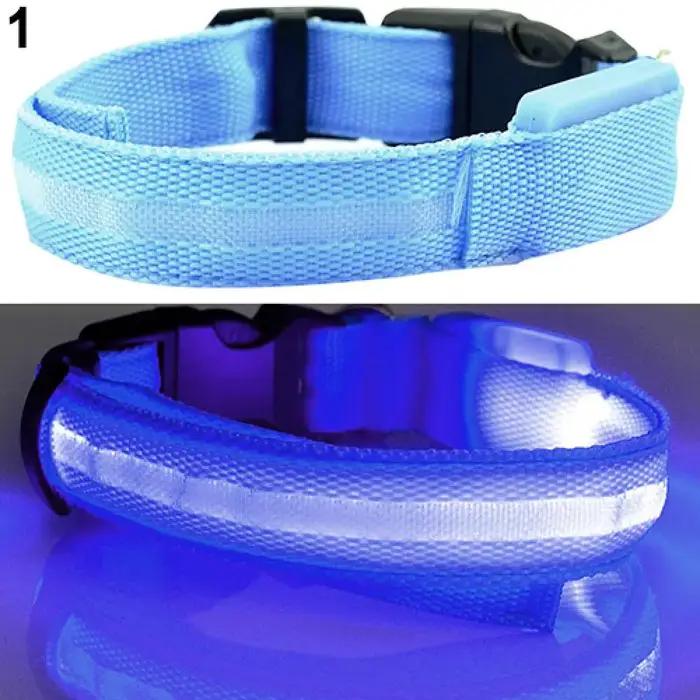 Collier Anti-perte pour chien à LED
