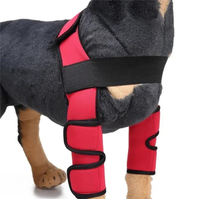 Protège-Coude pour Chien