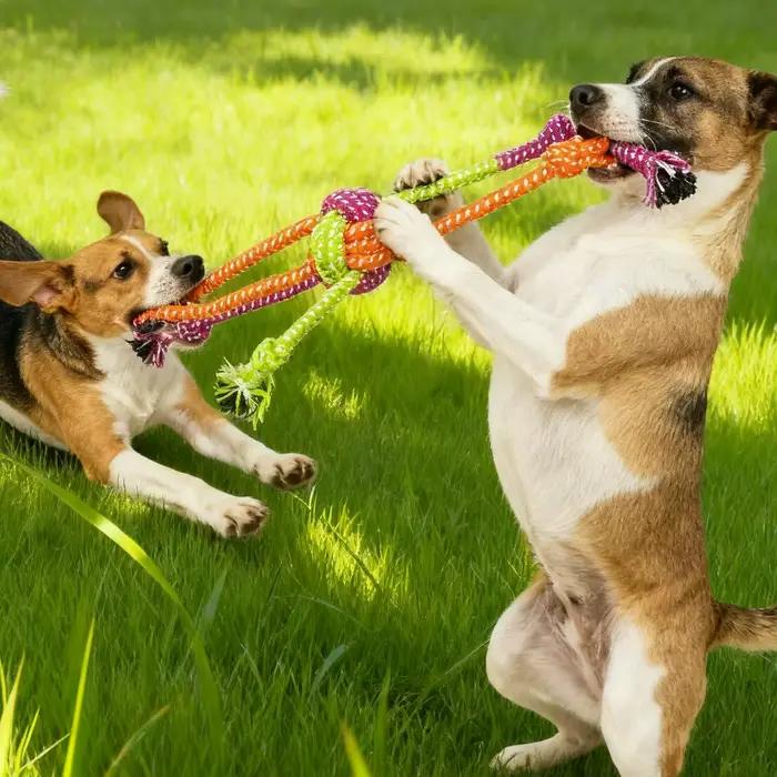 Jouet à nœud interactif Durable et résistant aux morsures pour chiens