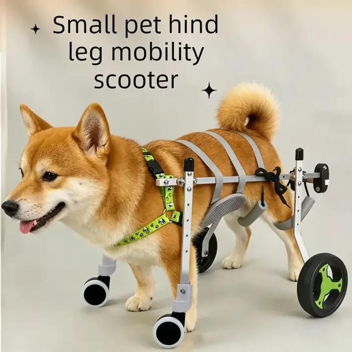 Fauteuil roulant pour chien