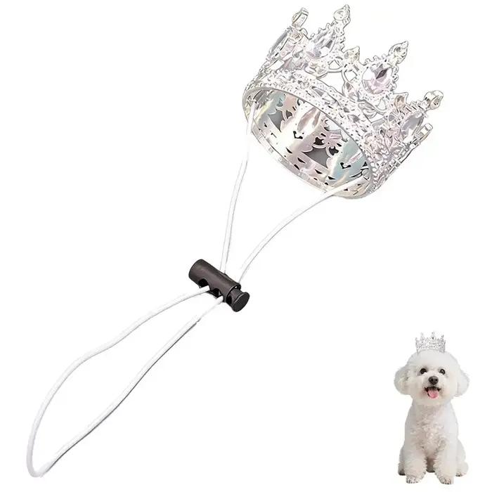 Couronne pour animaux de compagnie