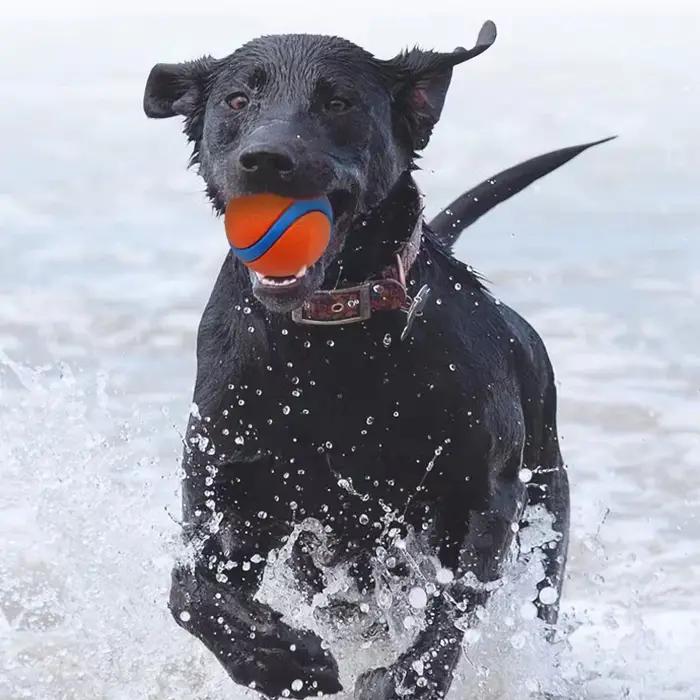 Balle de chien indestructible caoutchouc pour mâchage agressif jouets à mâcher pour chiens durables et sécuritaires occasions spéciales et quotidienne