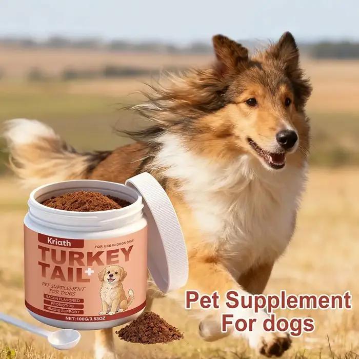 Complément alimentaire pour chiens à base de poudre de champignon Turkey Tail avec probiotiques