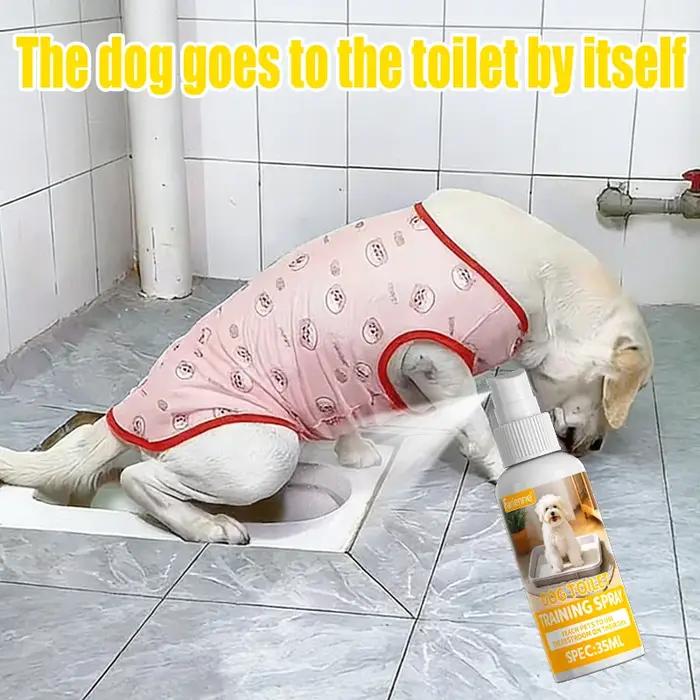 Spray d'apprentissage de la propreté pour chiens