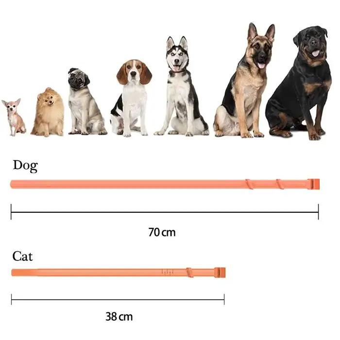 Collier apaisant réglable pour chiens et chats soulageant l'anxiété et réduisant le stress pour tous les âges occasions spéciales et quotidiennes