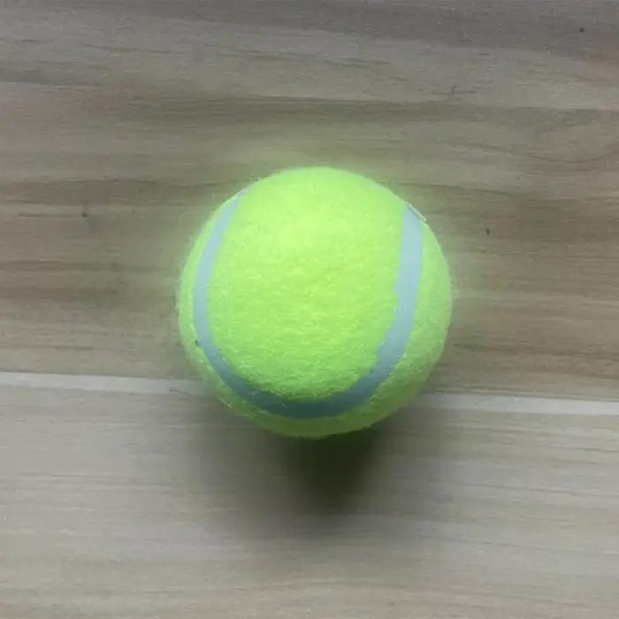 Ensemble de lanceurs de balles de Tennis pour animaux de compagnie, jouet d'entraînement en plein ai