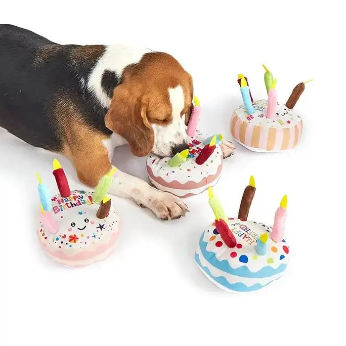 Gâteau d'anniversaire pour chien de compagnie