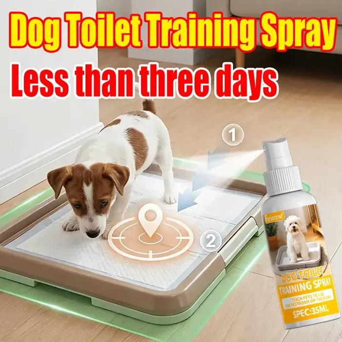 Spray d'apprentissage de la propreté pour chiens, aide au positionnement de la pipi pour chiots, pou