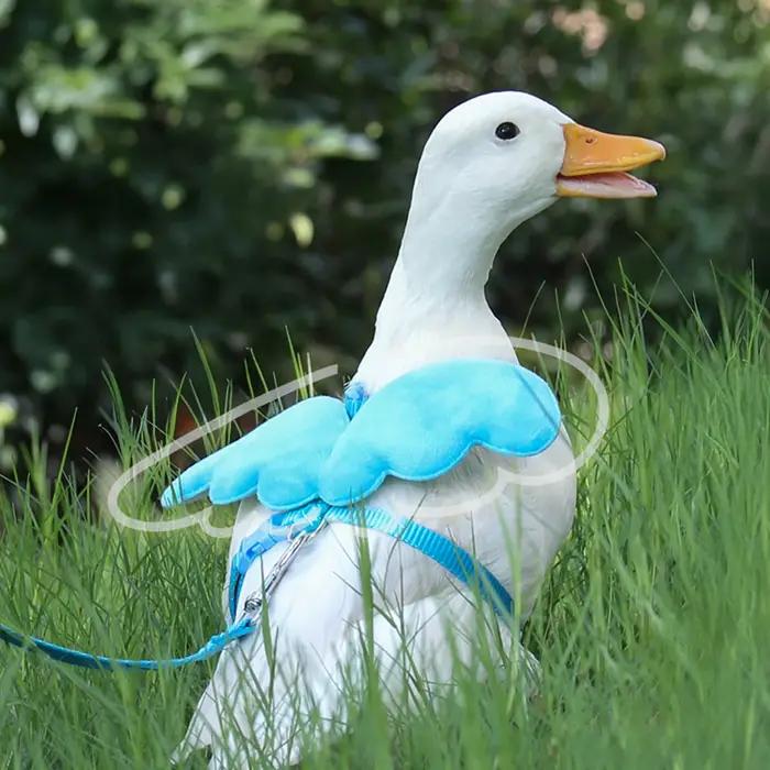 Harnais de marche en forme de canard pour animaux de compagnie