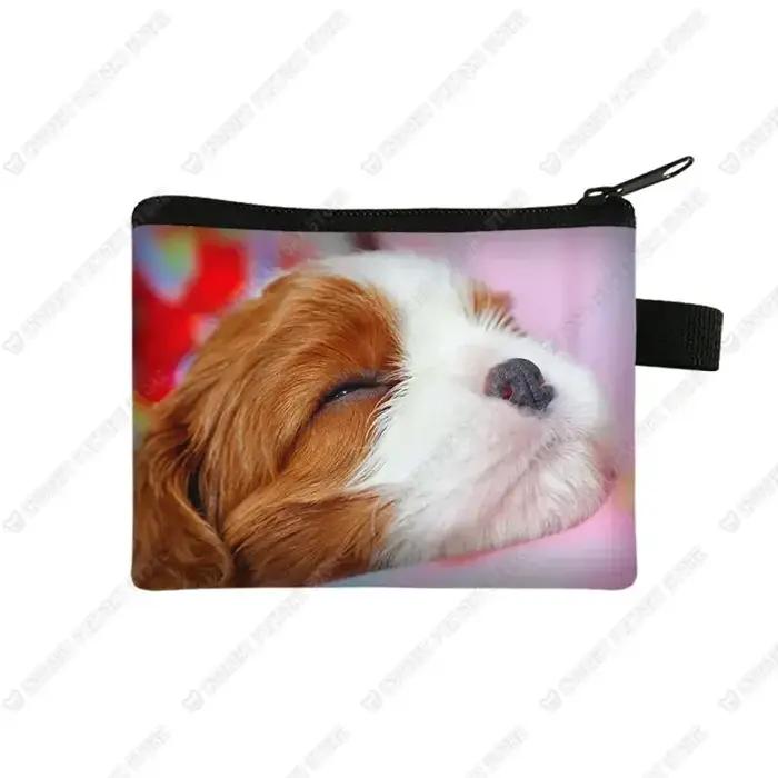 Porte-monnaie imprimé chien Cavalier King Charles Spaniel pour femme, porte-cartes, porte-écouteurs, sac à monnaie, fermeture éclair, polyvalent et élégant