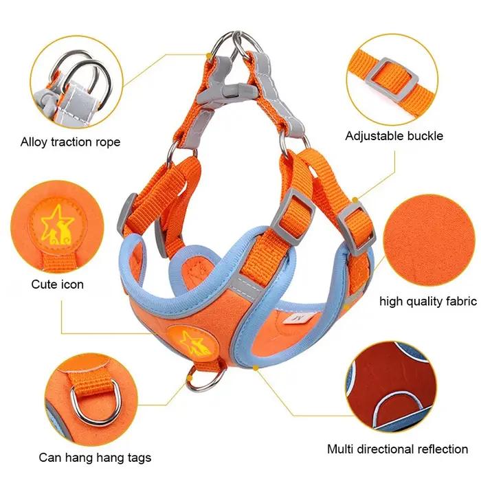 Sangles de coulée de ULde traction en émail SFP pour chiens de petite et moyenne taille