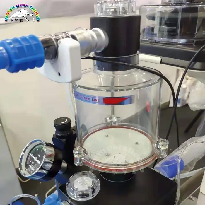 Appareil d'Anesthésie Médicale Portable pour Animaux de Compagnie