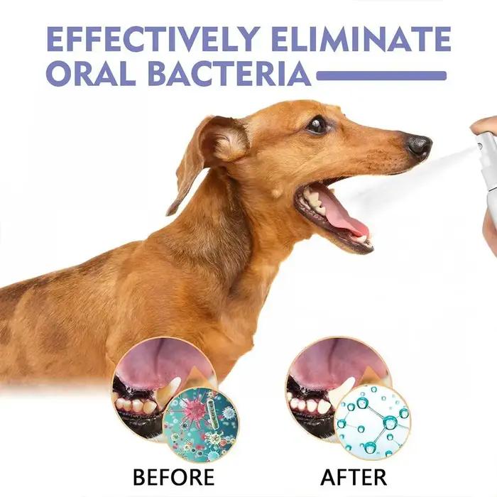 Spray buccal pour chiens soins bucco-dentaires préventifs élimination bactéries haleine fraîche réduction plaque tartre gencives saines usage quotidien occassions spéciales cadeau animaux de compagnie