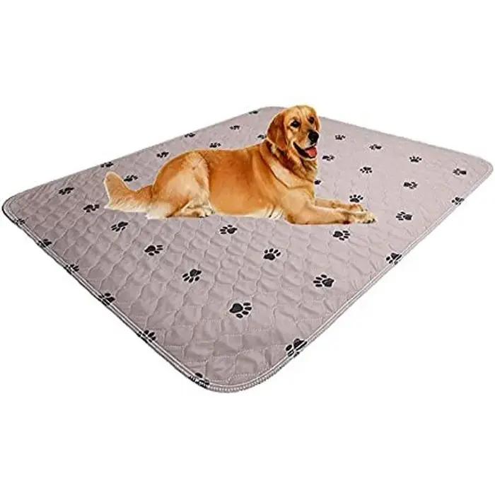Coussinets d'urine pour chien