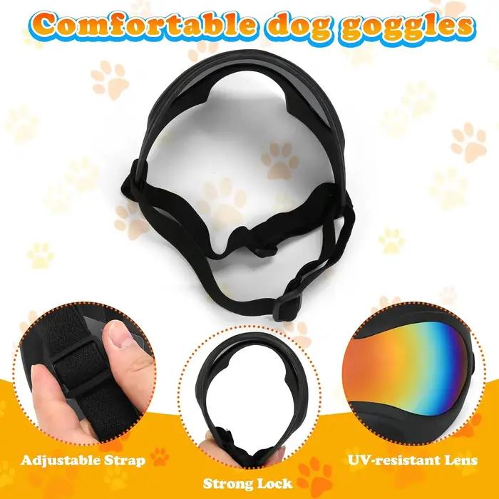 Lunettes de soleil pour chien