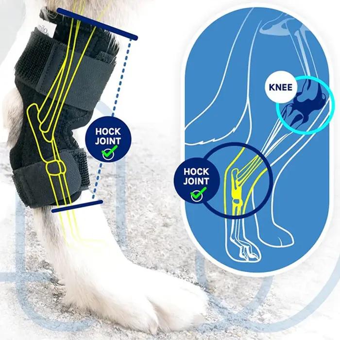 Genouillères de protection pour animaux de compagnie