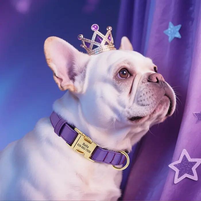 Collier pour chien en nylon 8 couleurs colliers
