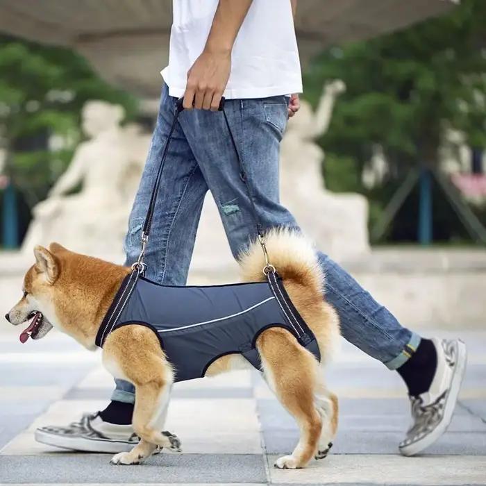 Support de jambes pour chien
