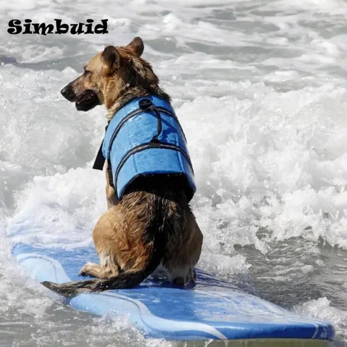 Gilet de sauvetage réfléchissant réglable pour grands chiens