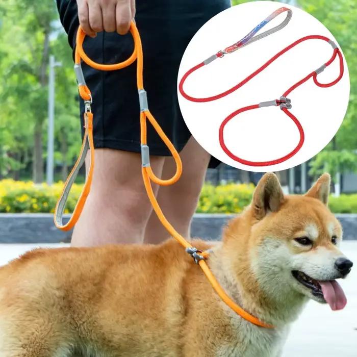 Laisse à double poignée réglable pour chien, fournitures pour animaux de compagnie, marche, chiot, P JODogs, 1.4m