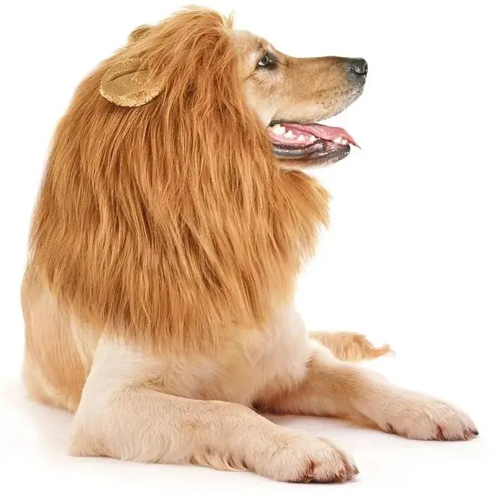 Vêtements de Cosplay pour chiens de compagnie