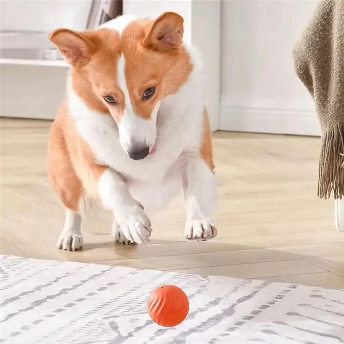 A36T-Balle interactive pour chiots et chiens de taille moyenne-Automatique
