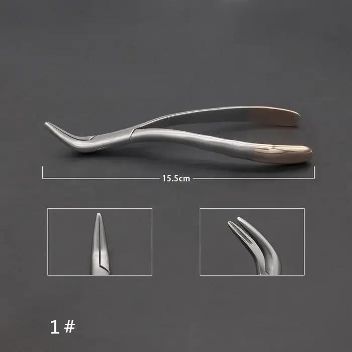 Pince d'extraction dentaire, mâchoire supérieure et inférieure, outil dentaire, Instruments vétérina