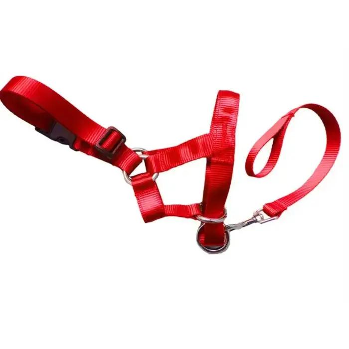 Harnais de dressage créatif pour chien