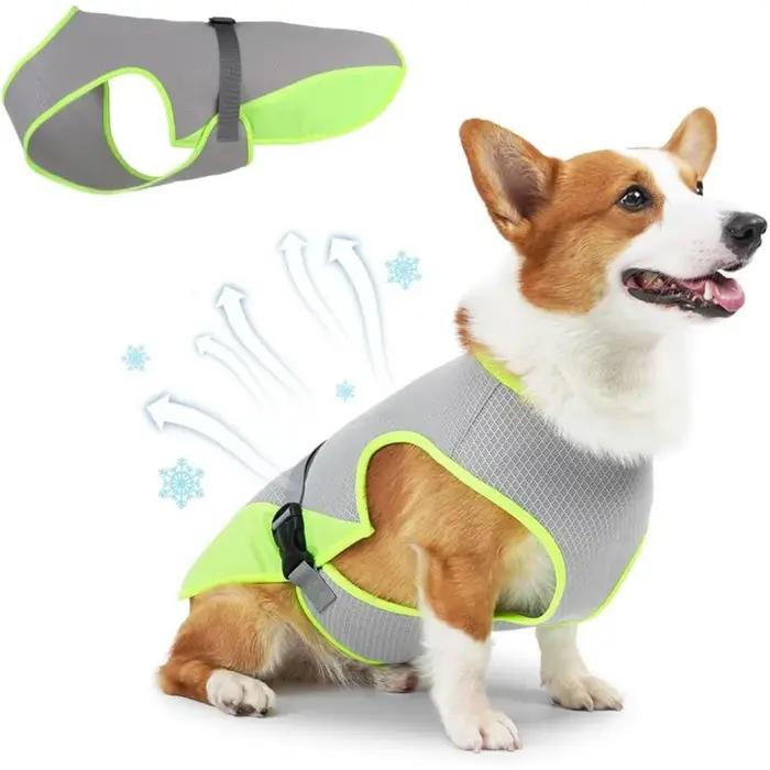Gilet rafraîchissant pour chien