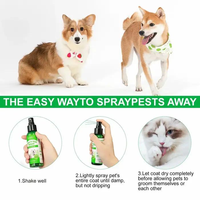 Spray anti-puces topique naturel pour chiens et chats avec huile de menthe poivrée pour protection et fraîcheur durable