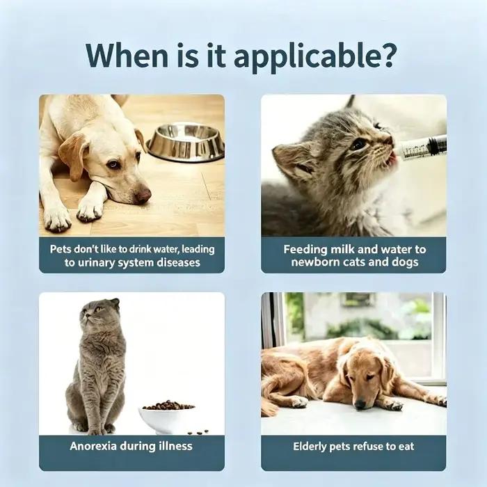 Seringue d'alimentation pour animaux de compagnie