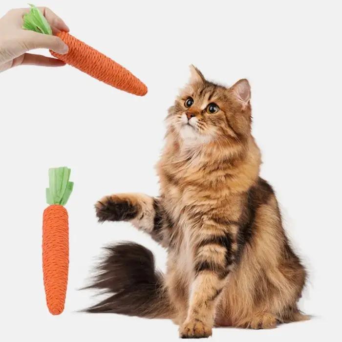 Jouets Carottes Mignons pour Chiens