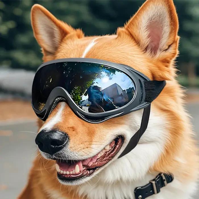 Lunettes de soleil réglables pour animaux de compagnie