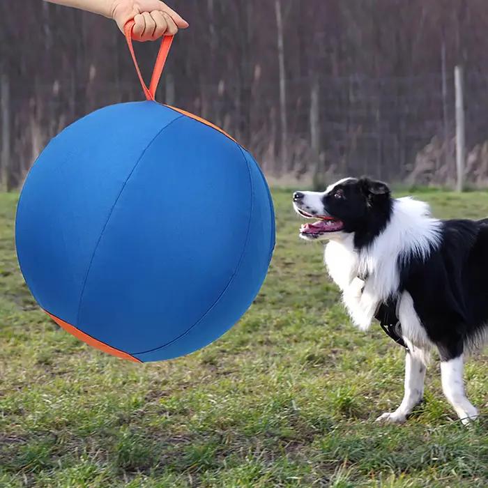 Jouets interactifs pour chiens
