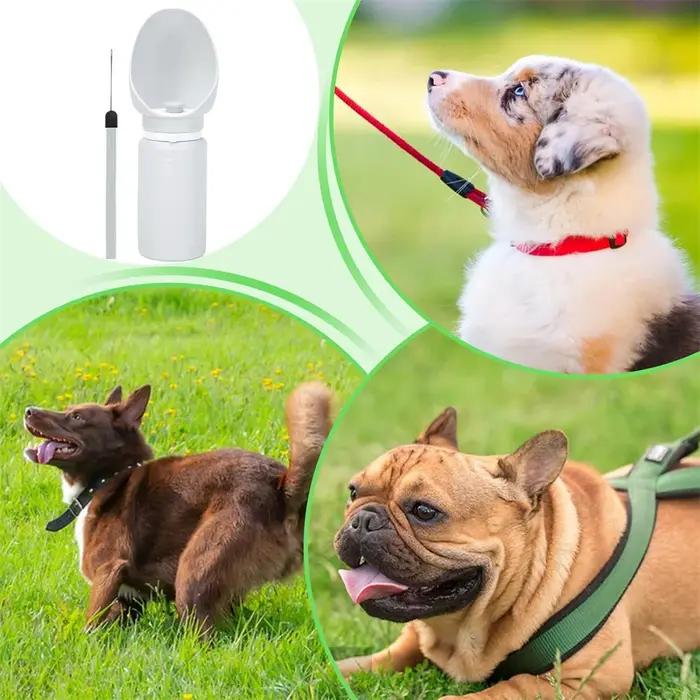 Bouteille d'eau portable pour chien spacieuse de 550 ml
