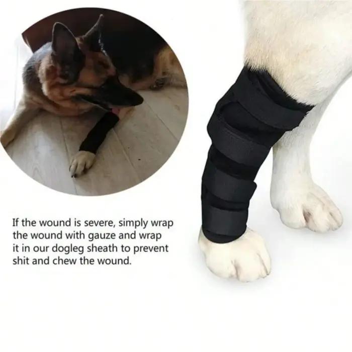 Genouillères de protection de coude pour chien