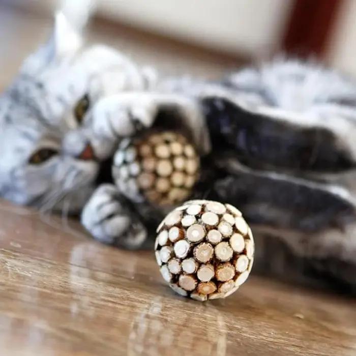 Nouvel ensemble de jouets à mâcher pour chats : boule et bâton de Silvervine – Nettoyage des dents