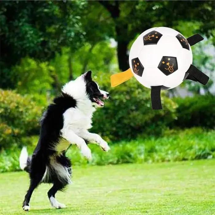 Jouets de Football pour chien, balles durables, Puzzle IQ, jouets pour chiot, petits et grands dents de chien, jouets interactifs de Football pour animaux de compagnie