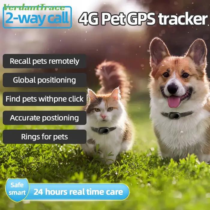 Traceur GPS 4G pour chiens et chats