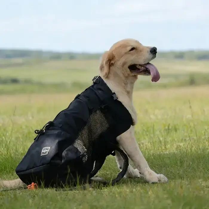 Sac à dos de transport pour chien réglable et durable