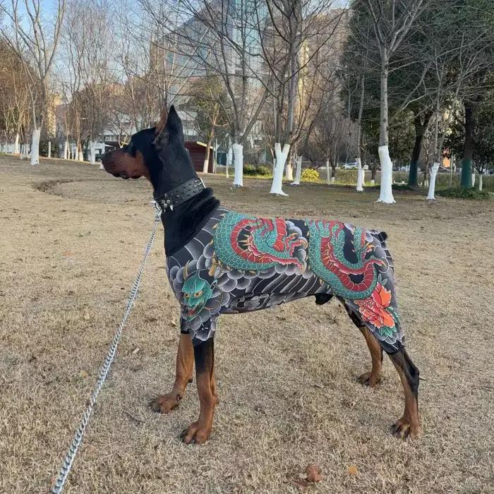 T-shirt humoristique pour chien 2026 – Vêtements pour animaux de compagnie amusants