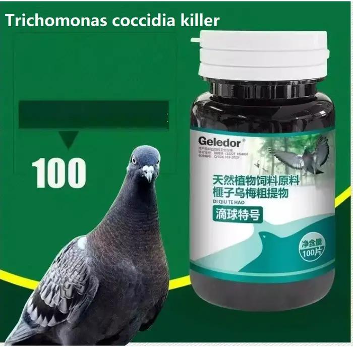Infection combinée de trichomonas et de coccidiose chez le pigeon, troubles digestifs, selles nodula
