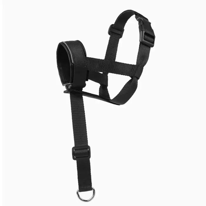 Entraînement buccal pour chien avec couvre-bouche pour animaux de compagnie, masque Anti-morsure, Tr