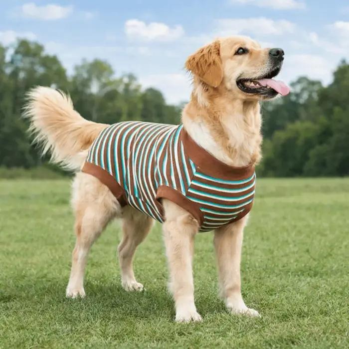 Combinaison pour chien à rayures