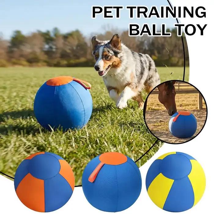 Jouet de dressage pour chien