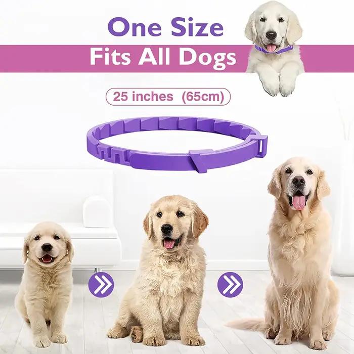 Lot de 3 chats et chiens pour animaux de compagnie