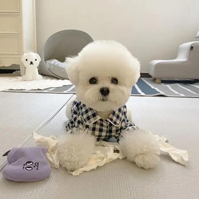 Jupe en tissu respirant pour petits chiens élégante avec motifs animal style pour occasions spéciales et quotidiennes