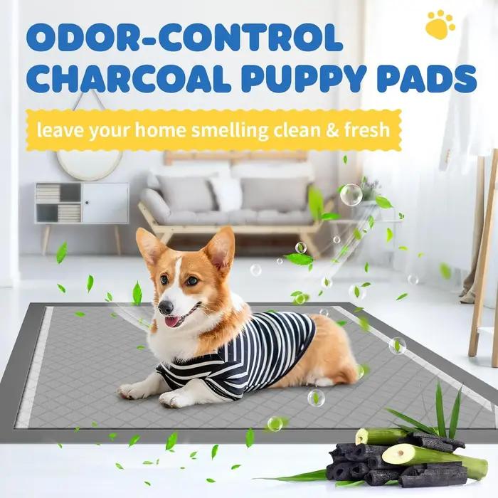Coussin d'incontinence urinaire pour chien jetable surdimensionné avec charbon actif pour chiots et petites races entraînement intérieur extérieur sans soucis