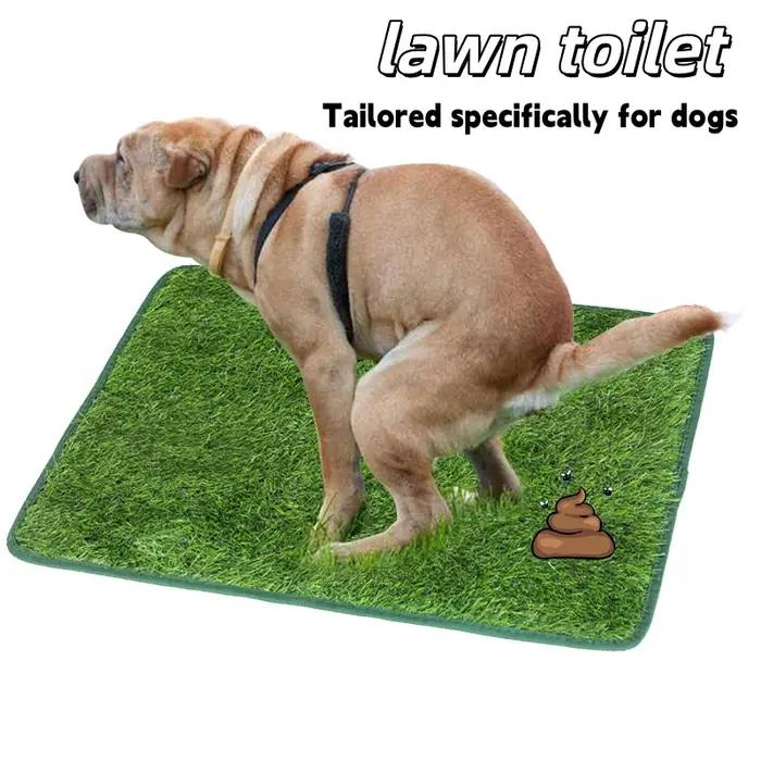 Tapis d'herbe artificielle lavable ultime pour chien